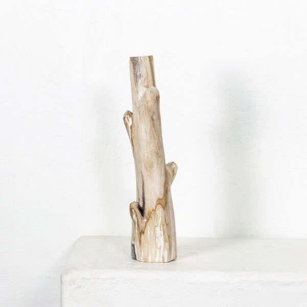 Petrified Wood Branch